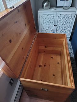 Large Cedar Trunk