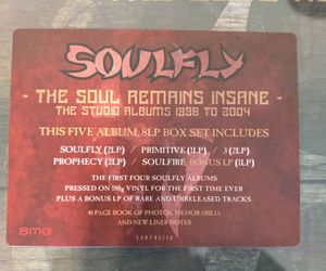 $120
***Soulfly*** The Soul Remains Insane. Box set 8 LP+book