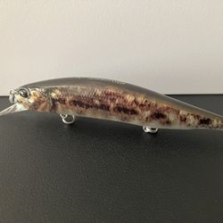 Duo Realis | Jerkbait 110SP