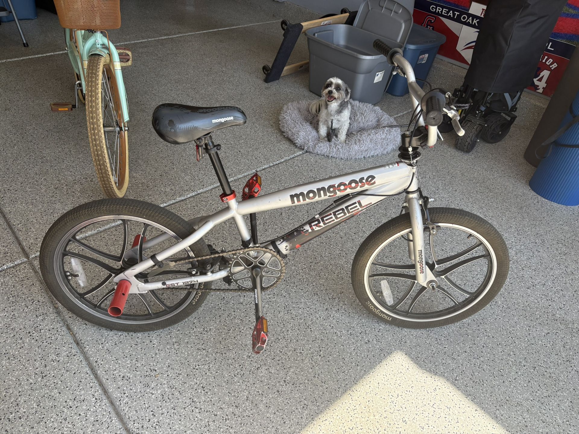 Mongoose Rebel 20” BMX bike