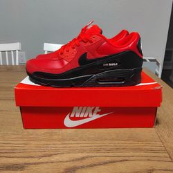 Nike ( Dunks ) Size 11