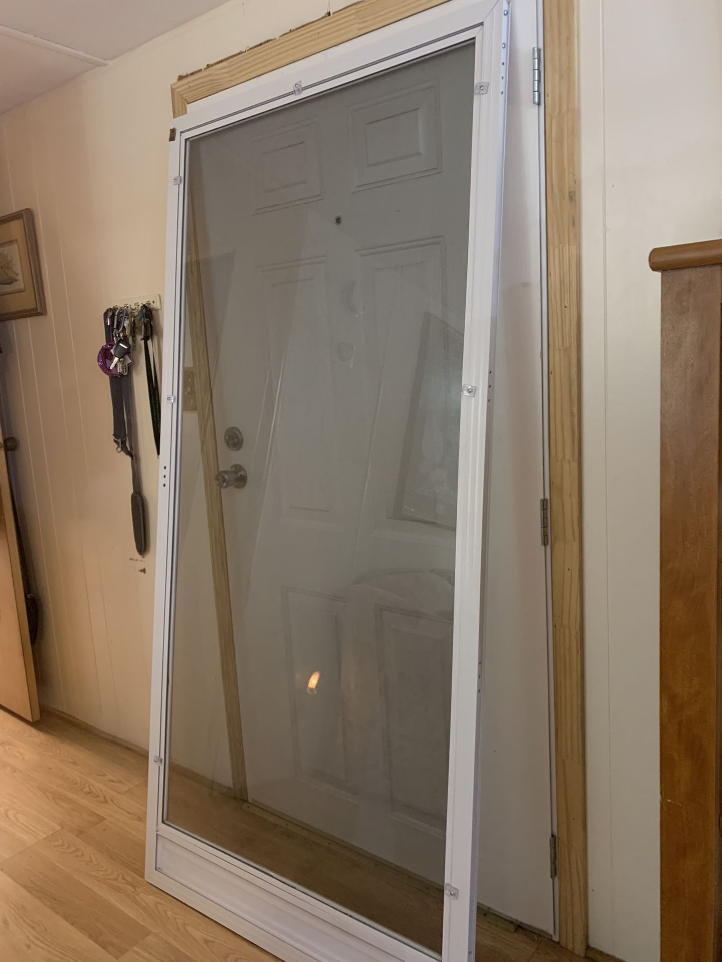 Glass Storm Door