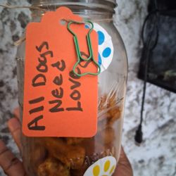 Dog Treats 