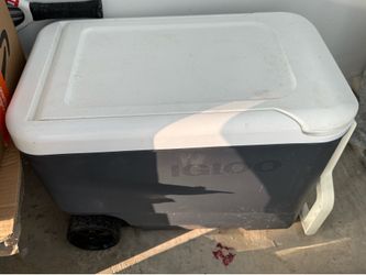 Coolers