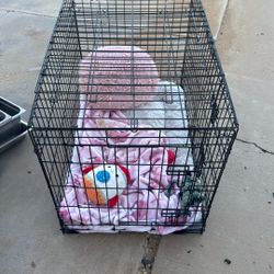 Dog Crate And Everything You See For Sale