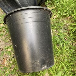 Macetas Usadas De 5 Gallones, 3 Por $1 Dollar Pick Up Only 