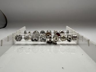 Pandora Charms 