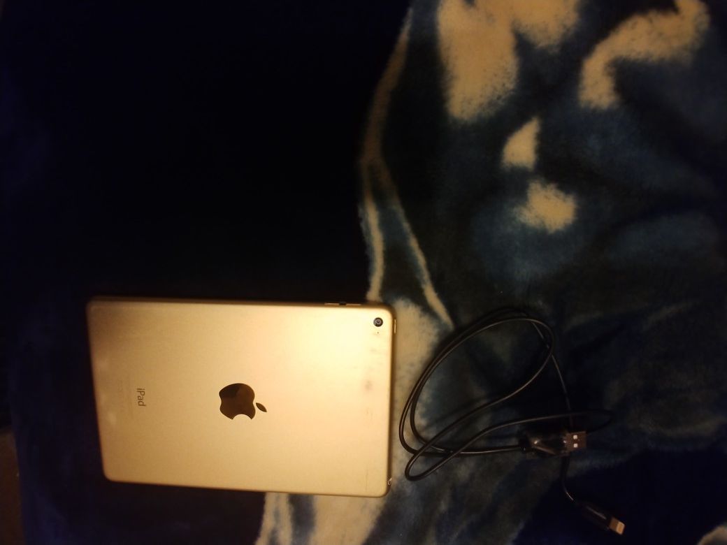 Apple IPad Minies