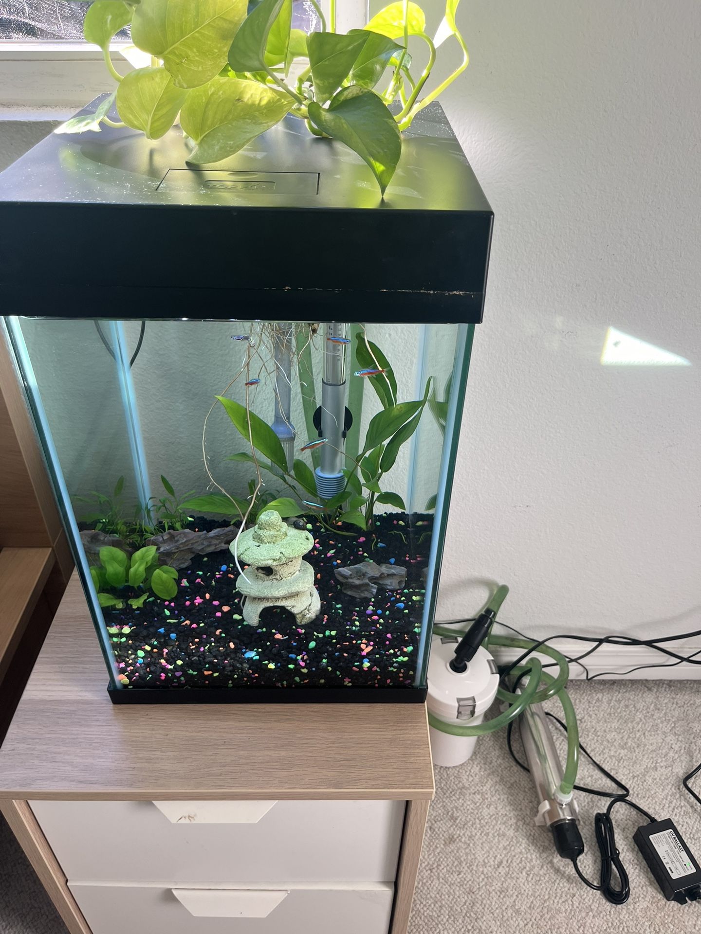 10 Gallon Aquarium