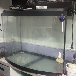 36 gal Bowed Fish Tank