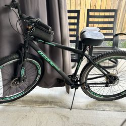 29” Mens Bike