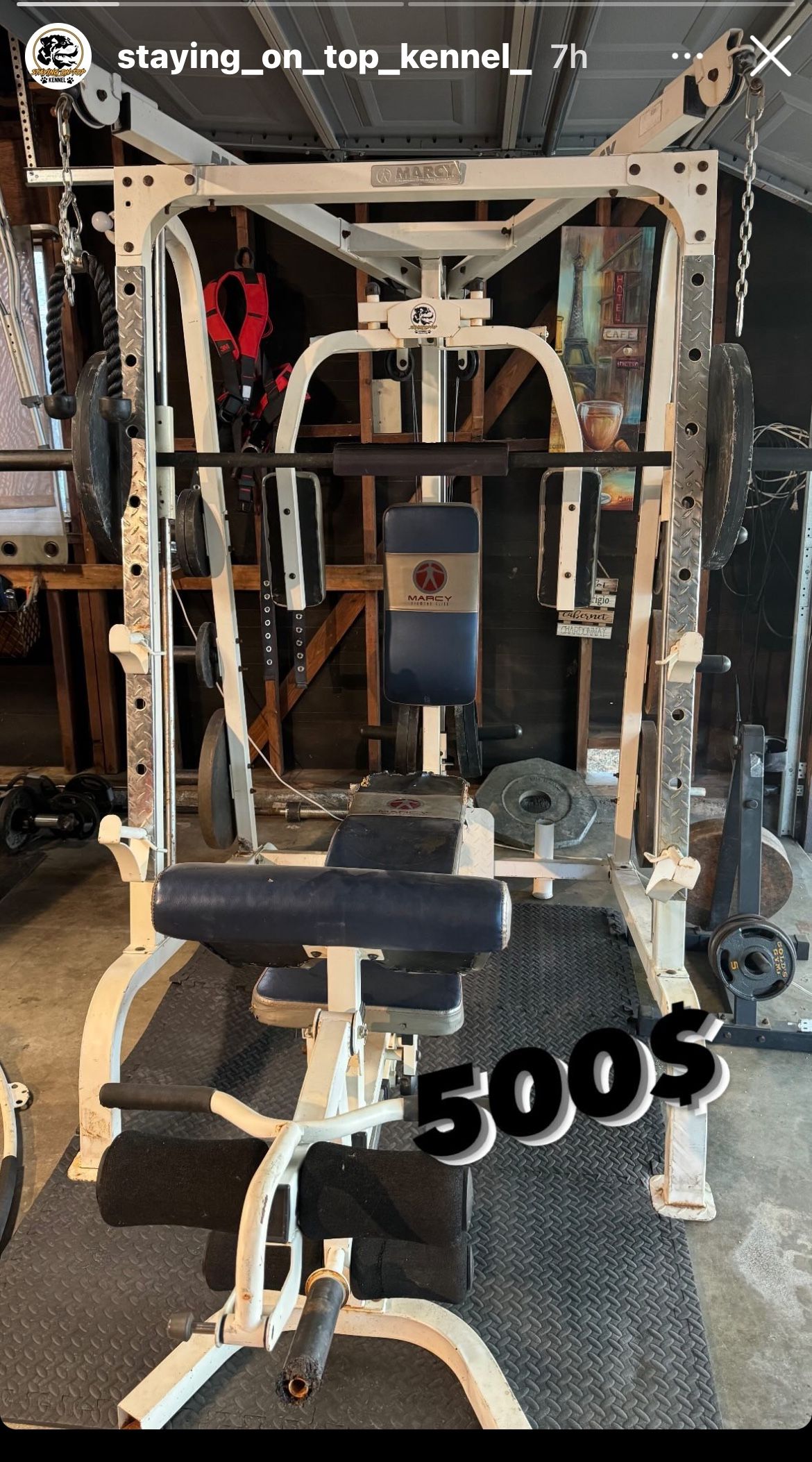 Marcy Home Gym