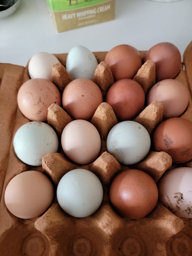 Eggs