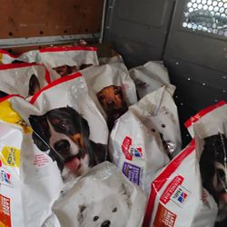 Dog Food 