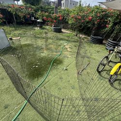Outdoor Dog Cages