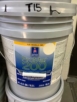 Interior Paint (Panda White)