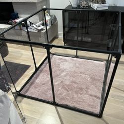 Clear Acrylic Pet Pen 36”x36”x36”