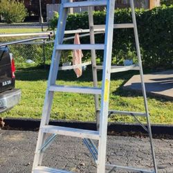 8ft LADDER 
