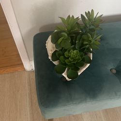 Succulent Table Decor 