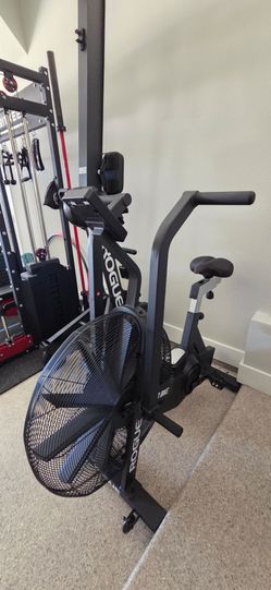 Rogue Echo Air Bike