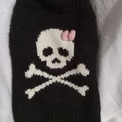 Outfits For Small Dogs