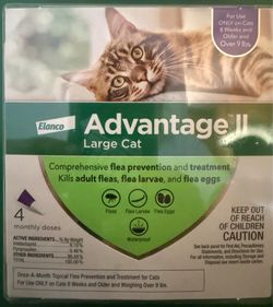 Advantage II for cats and dogs