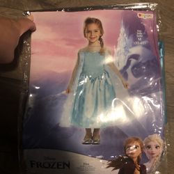 Halloween Custom Elsa Frozen 3T-4T