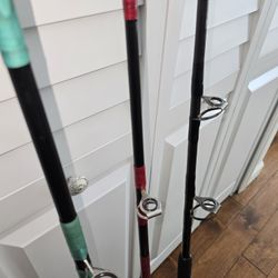 3 Custom Fishing Rods