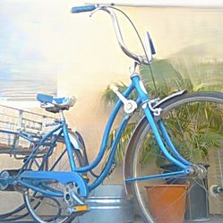 Schwinn Vintage 1970s Town And Country 3 Wheeler Adult Bike/Trike