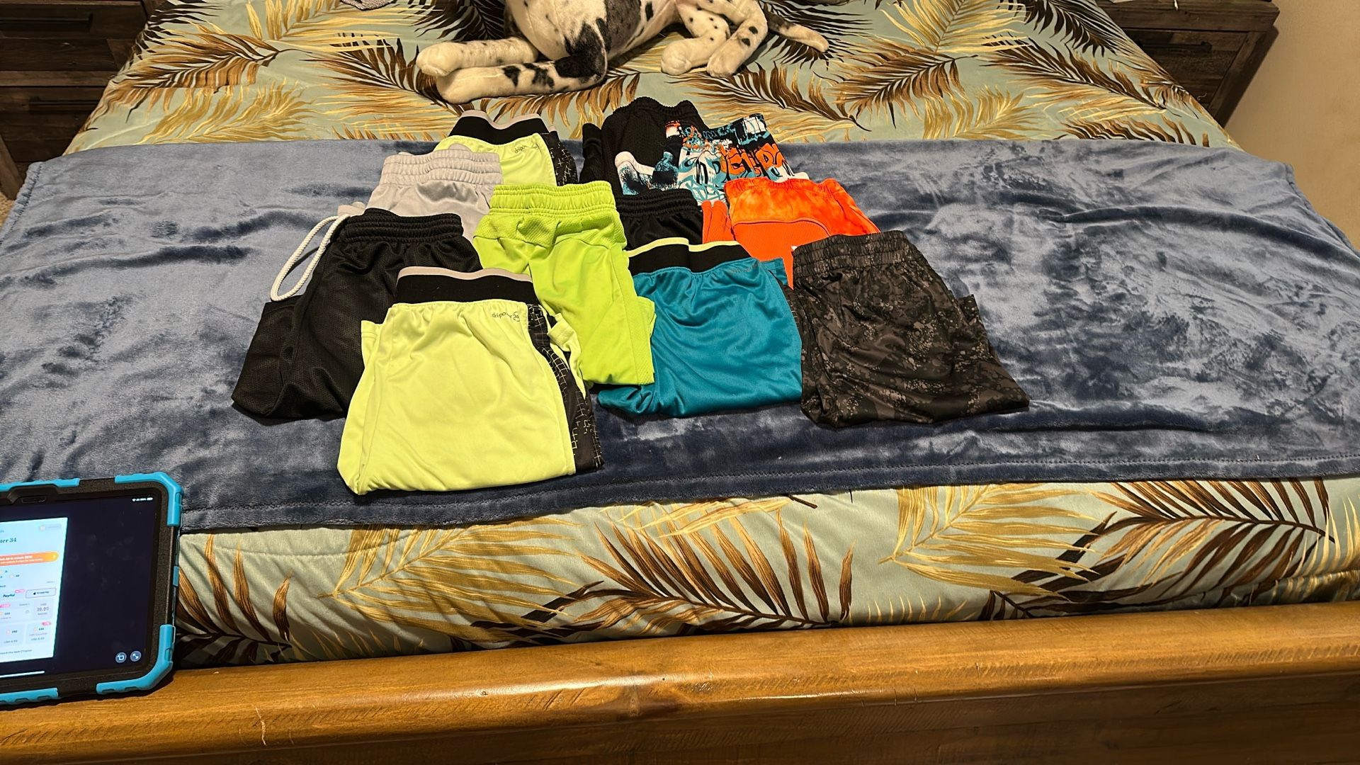 Boys Shorts Sz 14/16 And Sz 18