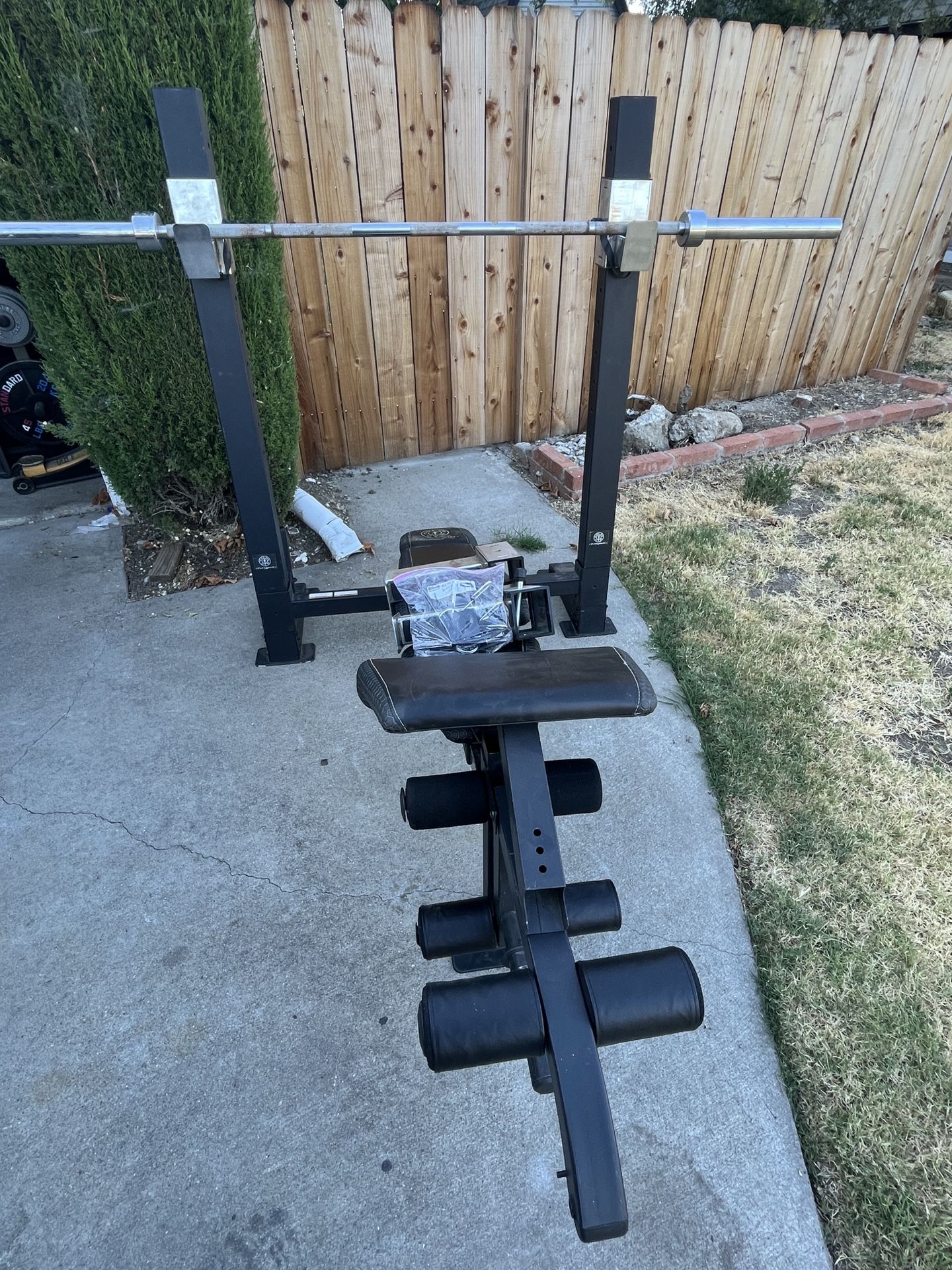 Golds Gym Olympic bench