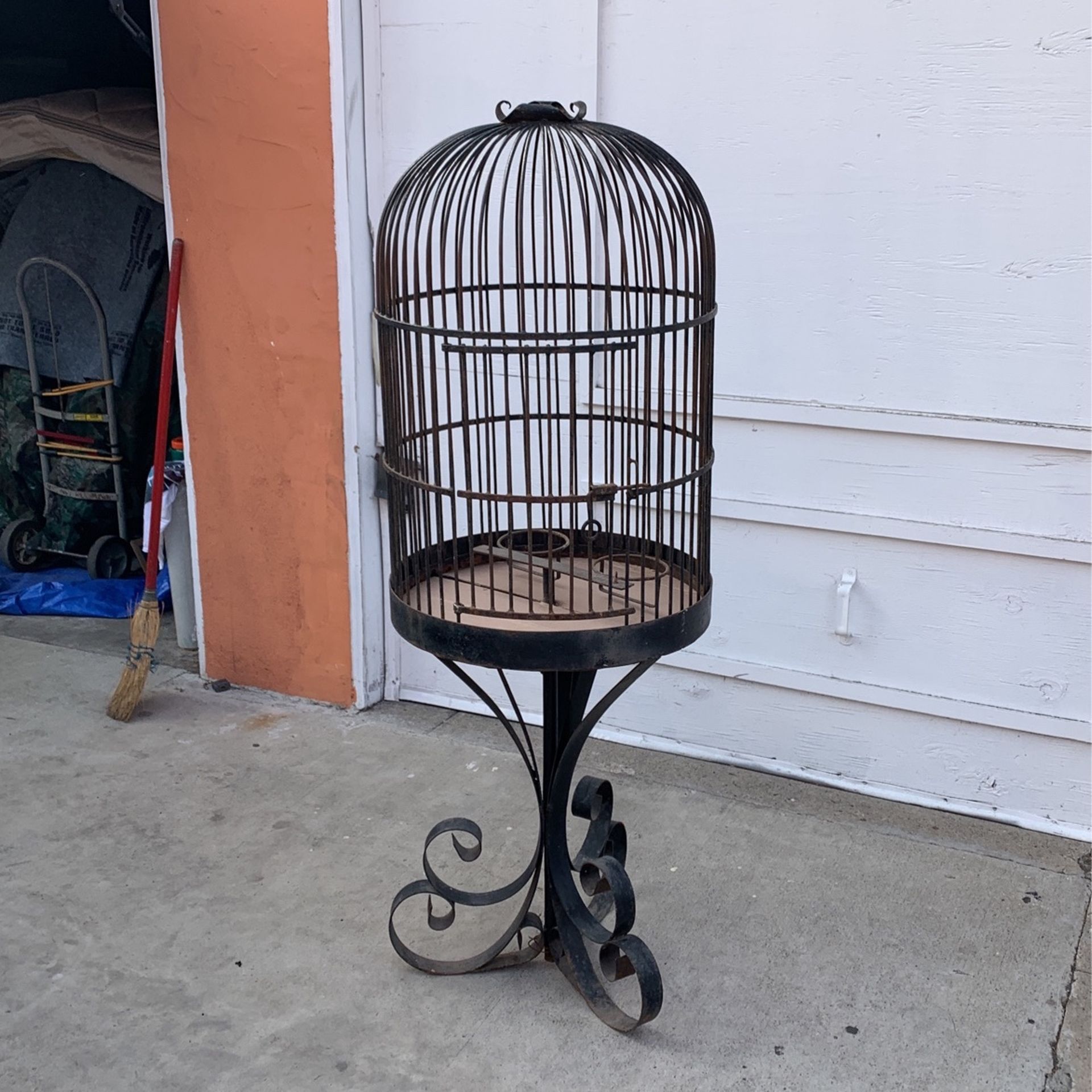 Bird Cage