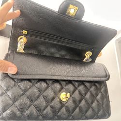 Woman Purse 
