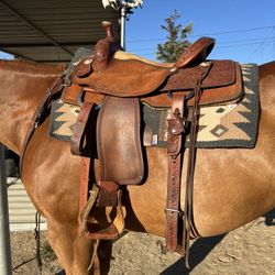 Martin All Around Western saddle 
