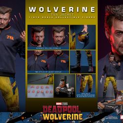 Hot Toys MMS756 Wolverine (TVA Jacket Version) Marvel Deadpool & Wolverine 1/6 Figure