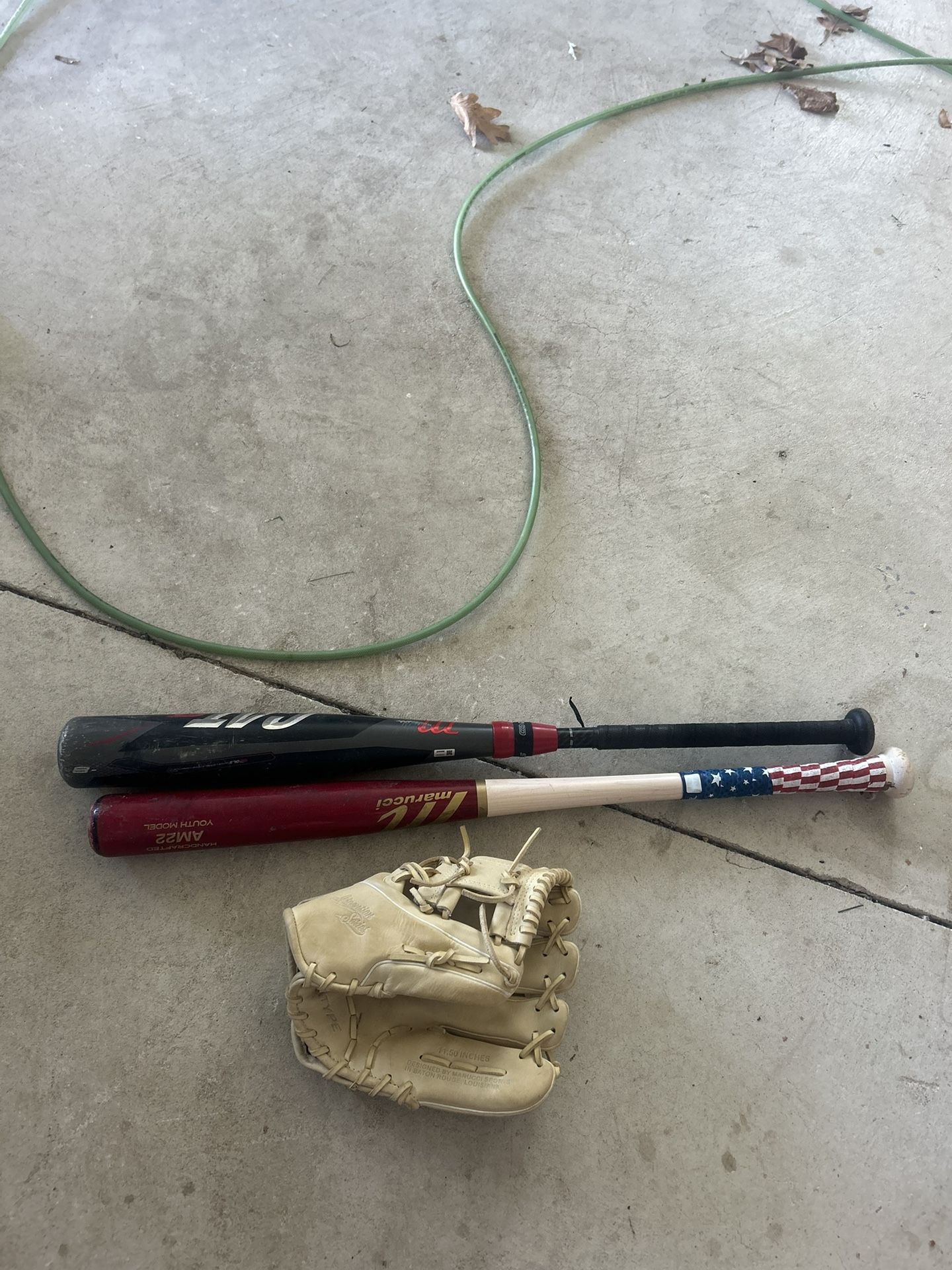 Baseball Bat/glove