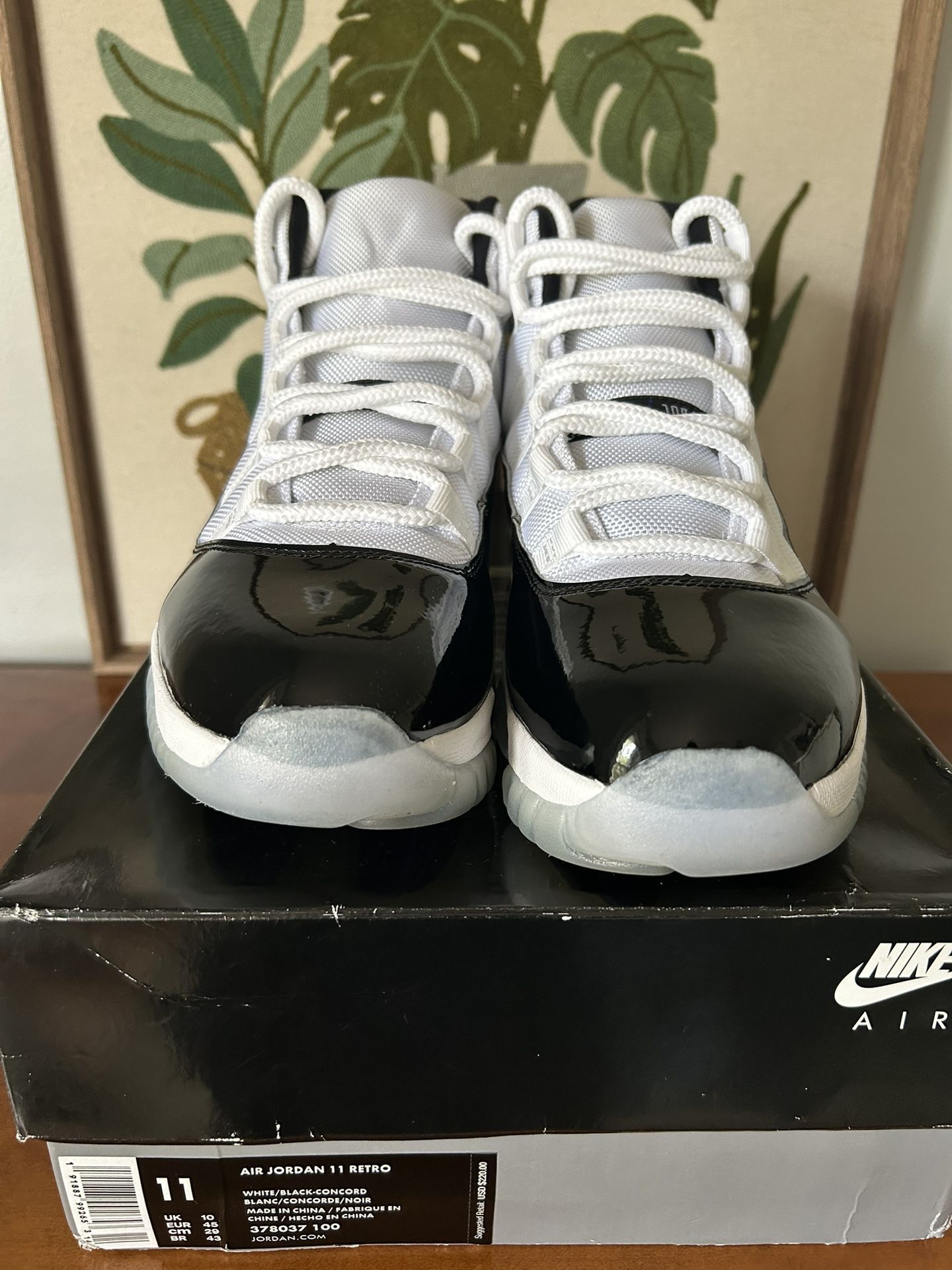 ***NO TRADES*** Size 11 - Jordan 11 Retro High Concord