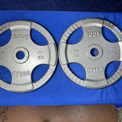 45 Lb Olympic Weight Plates 