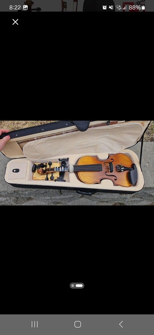 Violin