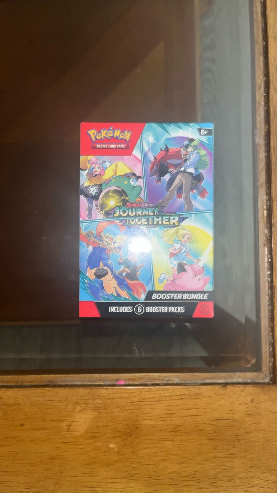 Journey Together Booster Bundle