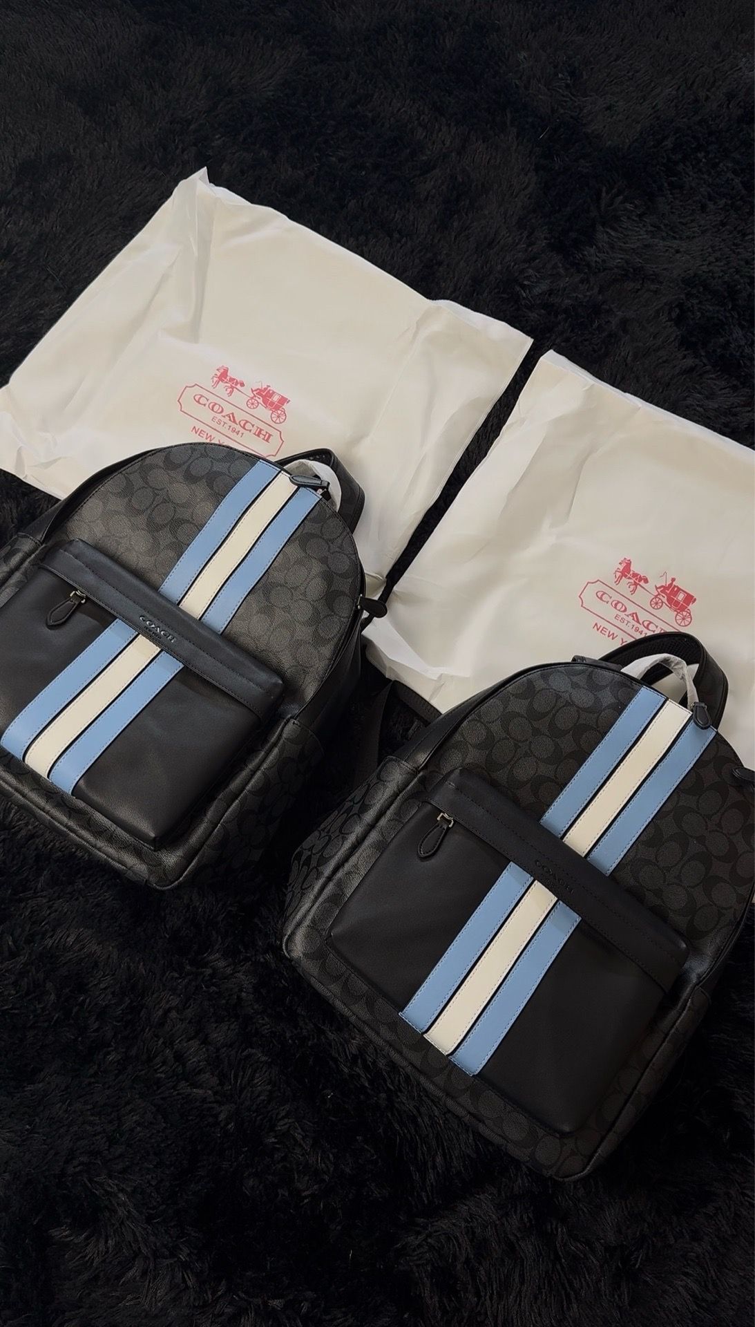 Coach Signature Backpack Black/Blue