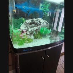 Fish Tank