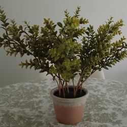 Artificial Boxwood Plant Home Decor