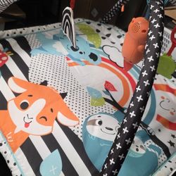 Baby PlayMat