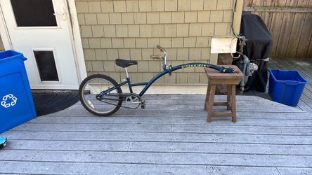 Hitchhiker II Tag Along Trailer Bike