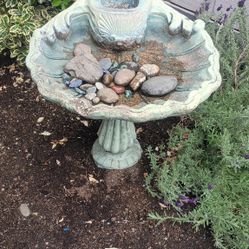 Shell Birdbath (Concrete Or Stone)
