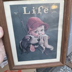 LIFE 1931 Litho Print USA 1978 Arthur A Kaplan Co. 8x10 framed