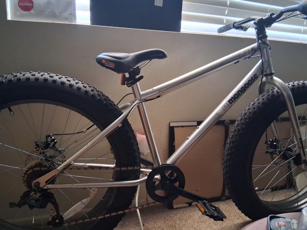 Mongoose