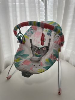 Baby Bouncer