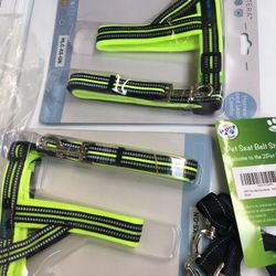 Pet Harness And Leash